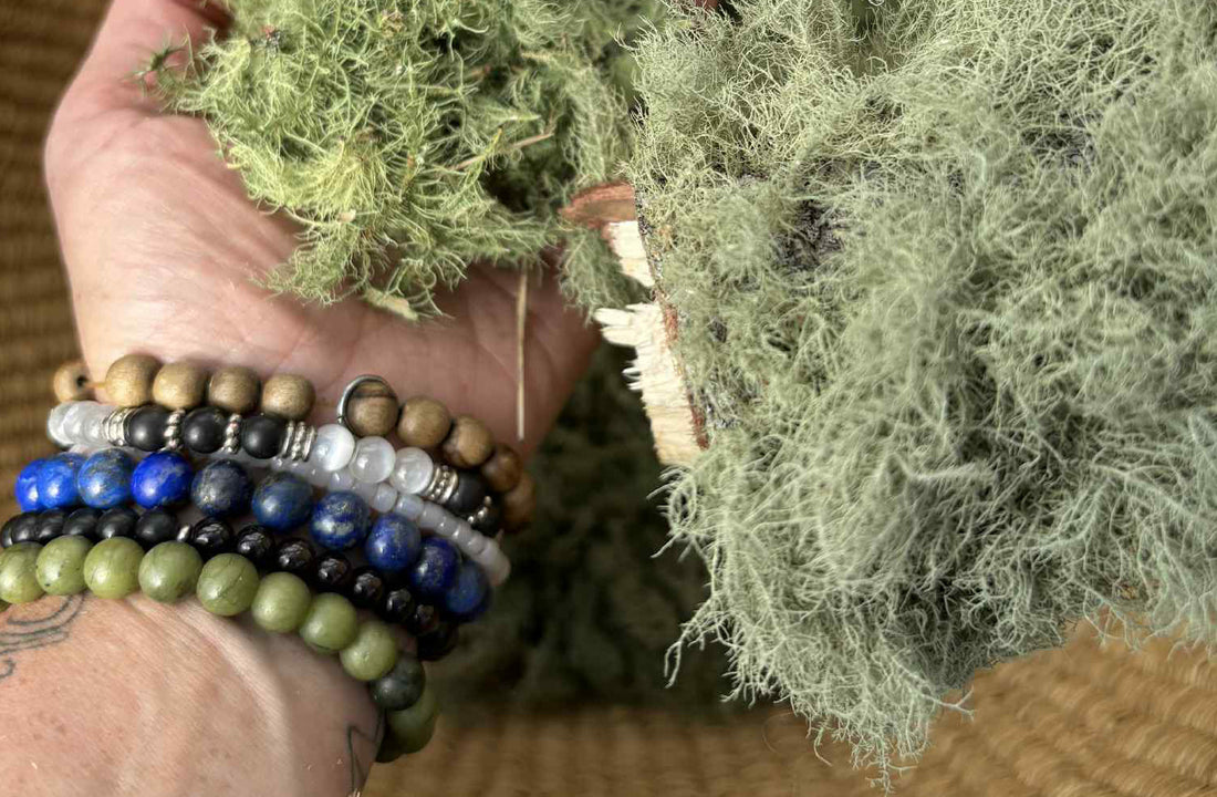 🌳The Healing Power of Usnea 🌳