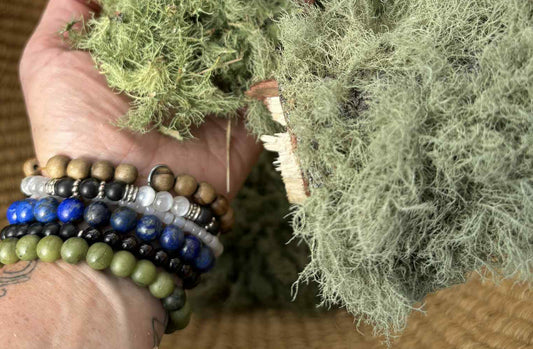 🌳The Healing Power of Usnea 🌳