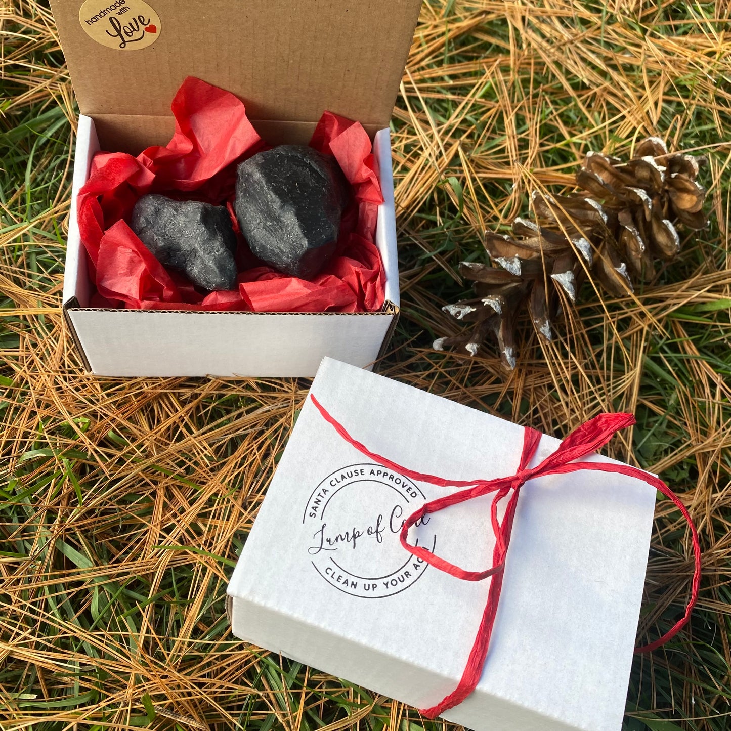 Lump of Coal Box - Goat Milk Soap - The Hippie Farmer