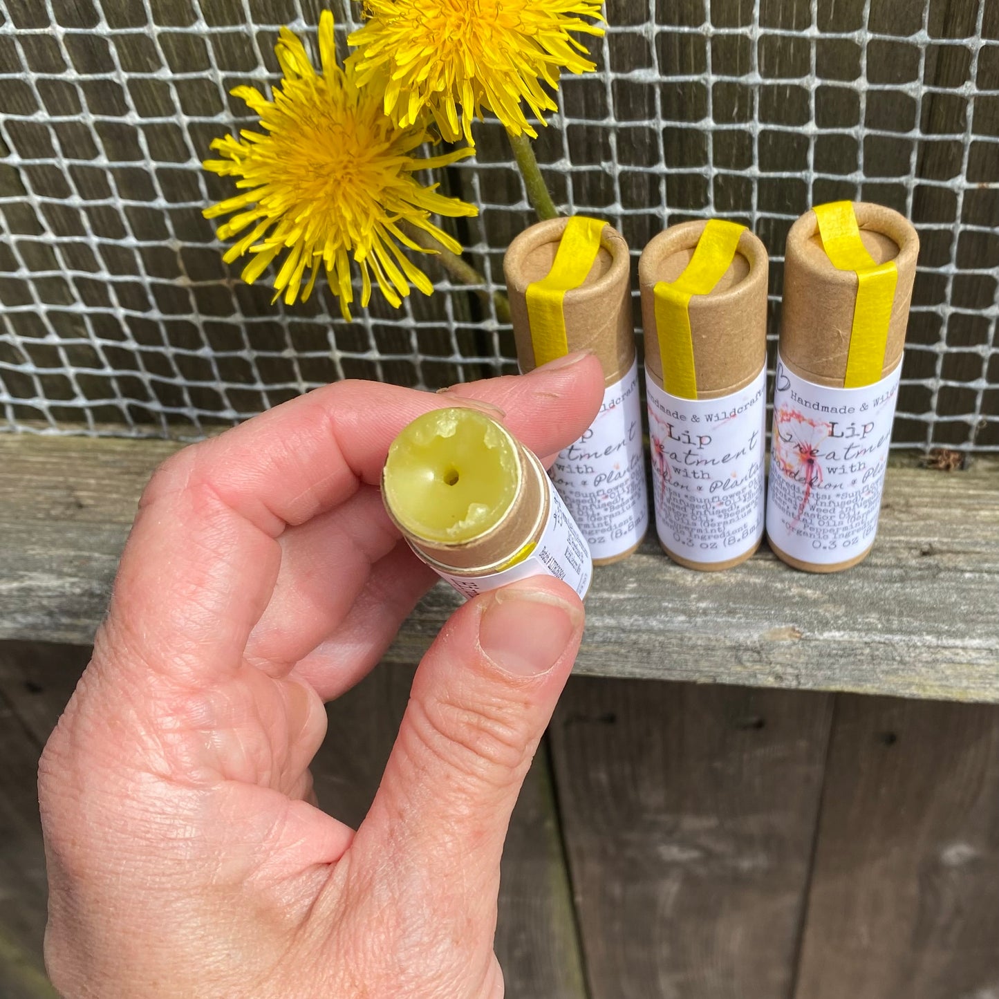 Lip Treatment - Dandelion Infused Balm - 0.5oz Tin - The Hippie Farmer