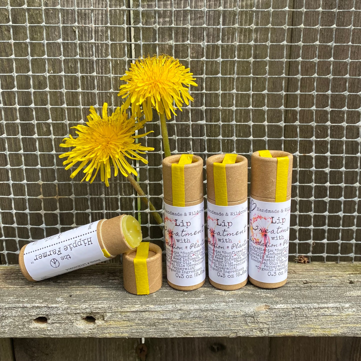 Lip Treatment - Dandelion Infused Balm - 0.5oz Tin - The Hippie Farmer