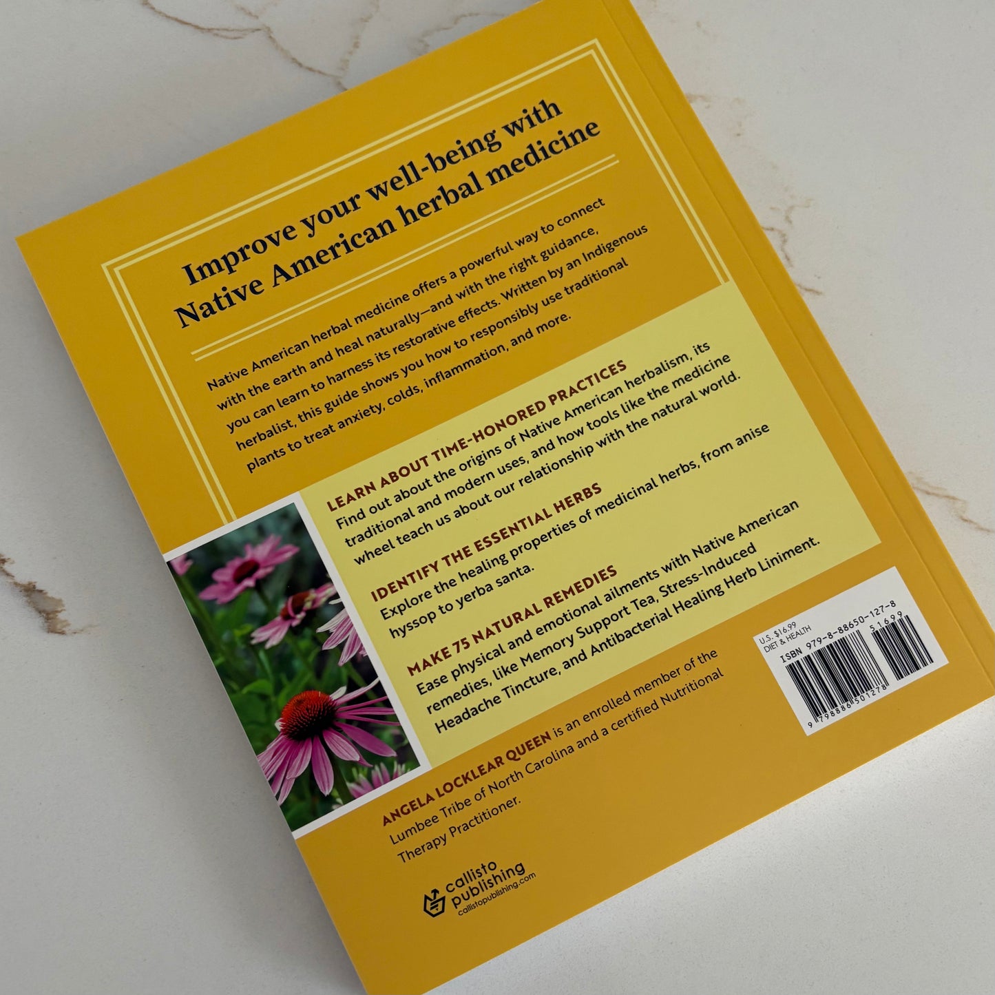 A Beginners Guide to Native American Herbal Medicine - 75 Natural Remedies for Wellness and Balance - by Angela Locklear Queen