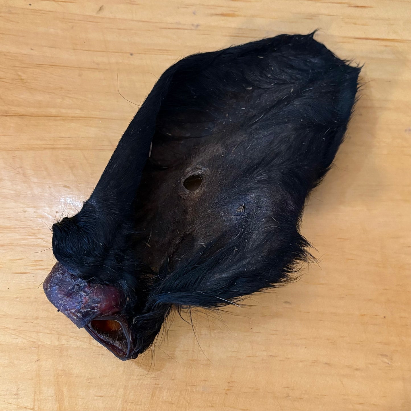 Bulk Dehydrated Dog Chew Treats - Chicken Head, Chicken Neck, Duck Head, or Duck Feet - by Farm Hounds