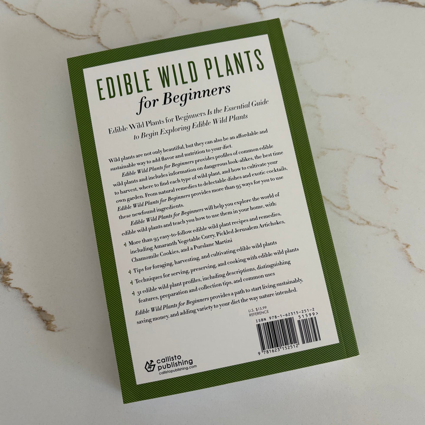 Edible Wild Plants for Beginners