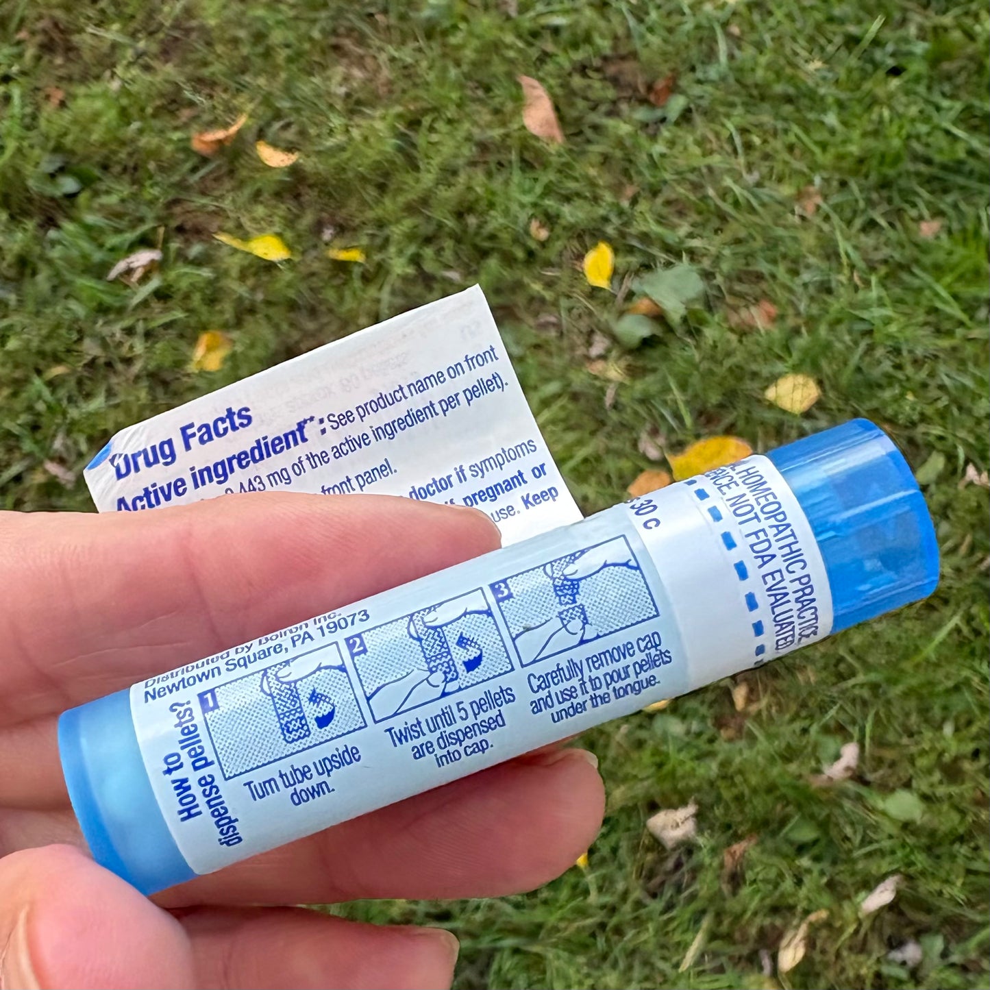 Felix Mas 30c - relieves worms in children - Homeopathic by Boiron (80 pellet) - The Hippie Farmer