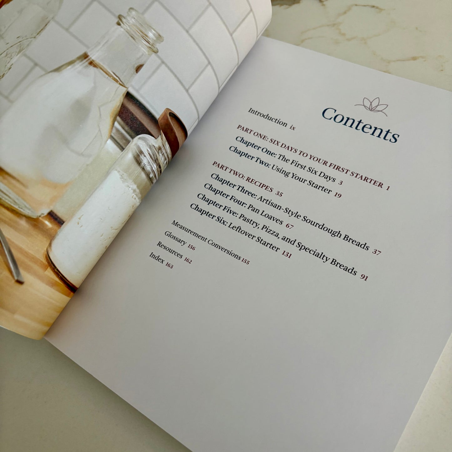 Sourdough Cookbook for Beginners - A step by step introduction to make your own fermented breads