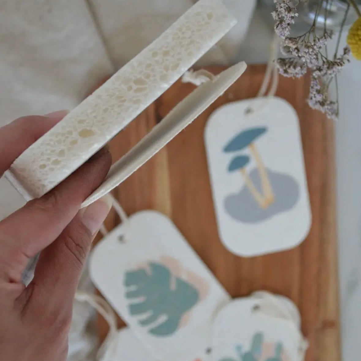 Pop-Up Dish Sponges 3 pack - Desert Theme by Mother Earth ME