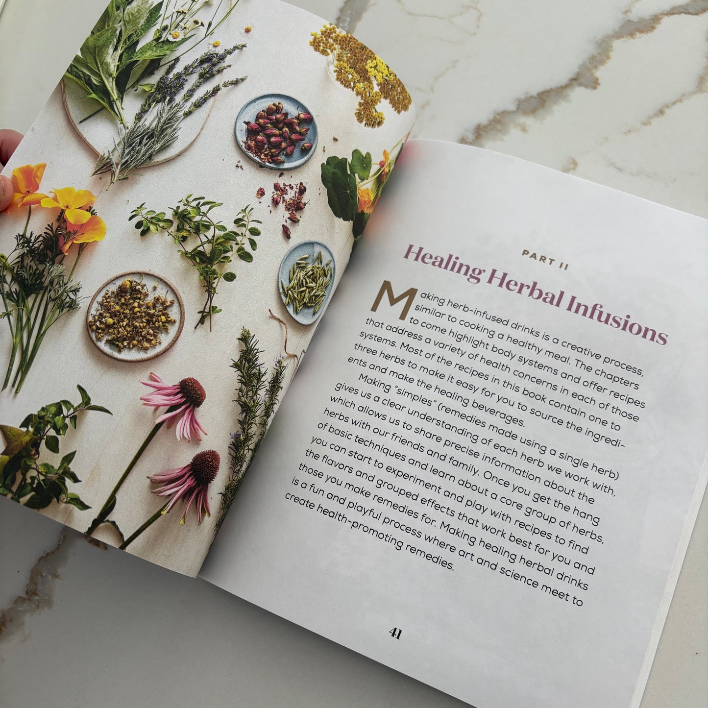 Drinkable Healing Herbal Infusions - 100 Beverages to SOOTHE Your Ailments and BOOST Your Immunity - Book by Brighid Doherty - The Hippie Farmer