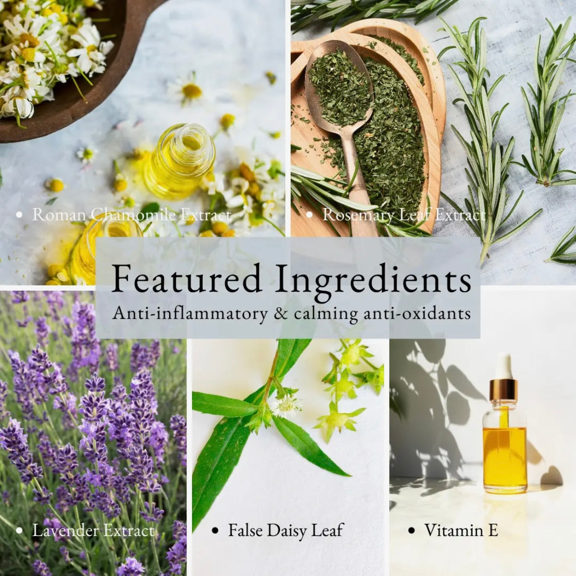 Purifying Gel Cleanser by HoneyBee Gardens
