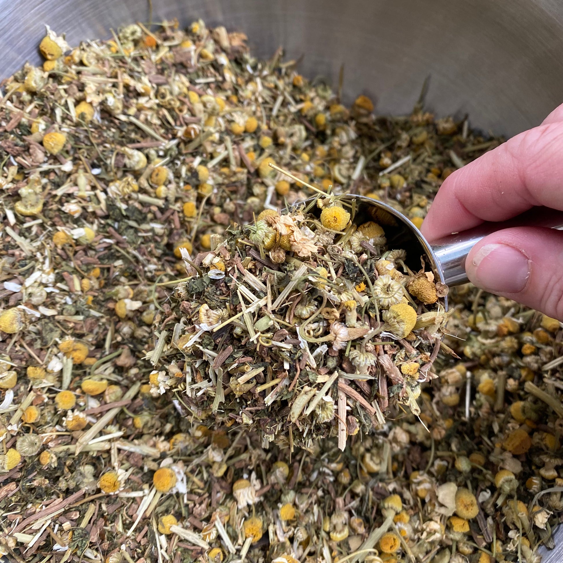 Night Time Sleep Support  - Organic Herbal Teas - 1.5oz - The Hippie Farmer