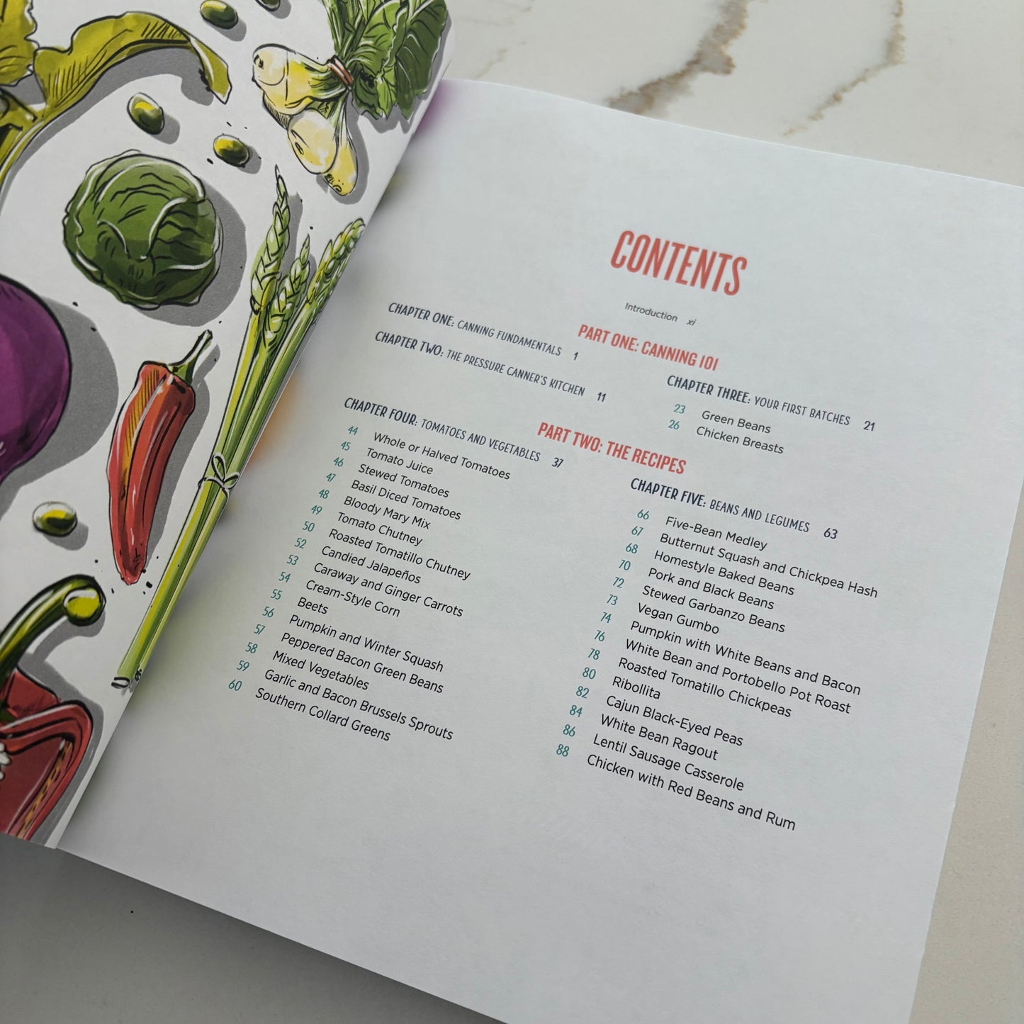 The Complete Guide to Pressure Canning - Everything you need to know about cam meats, vegetables, meals in a jar and more - Book by Diane Devereaux, The Canning Diva - The Hippie Farmer