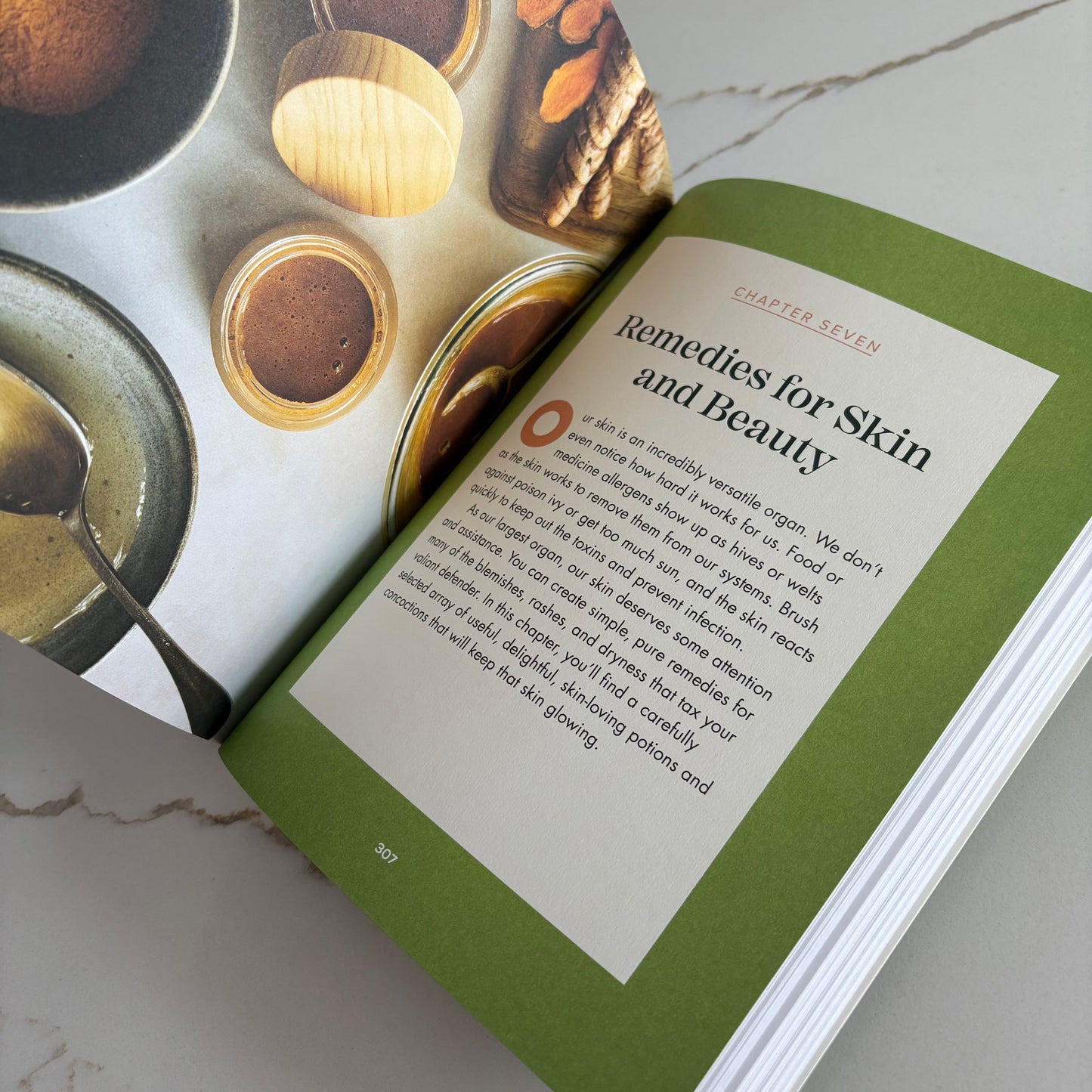 The Big Book of Herbal Medicine - 300 Natural Remedies for Health and Wellness - by Tina Sams - The Hippie Farmer
