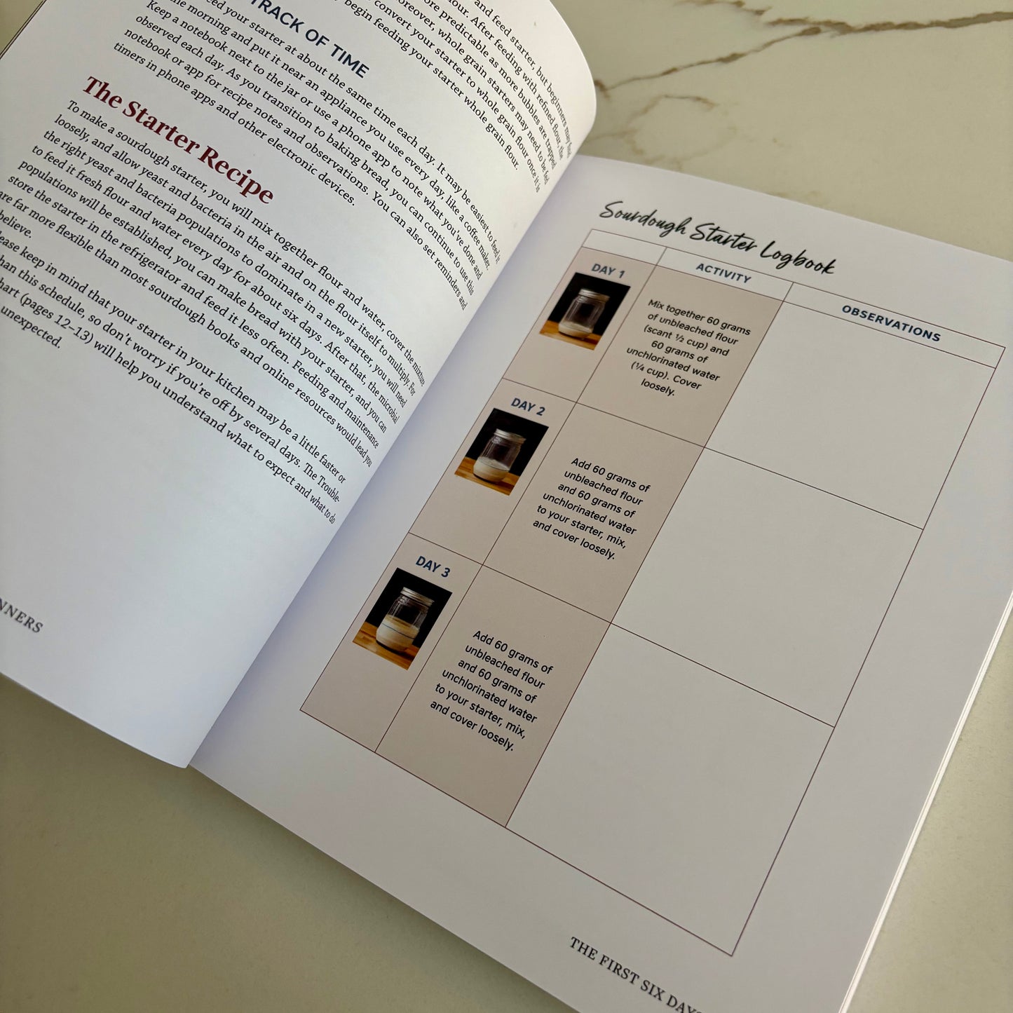 Sourdough Cookbook for Beginners - A step by step introduction to make your own fermented breads