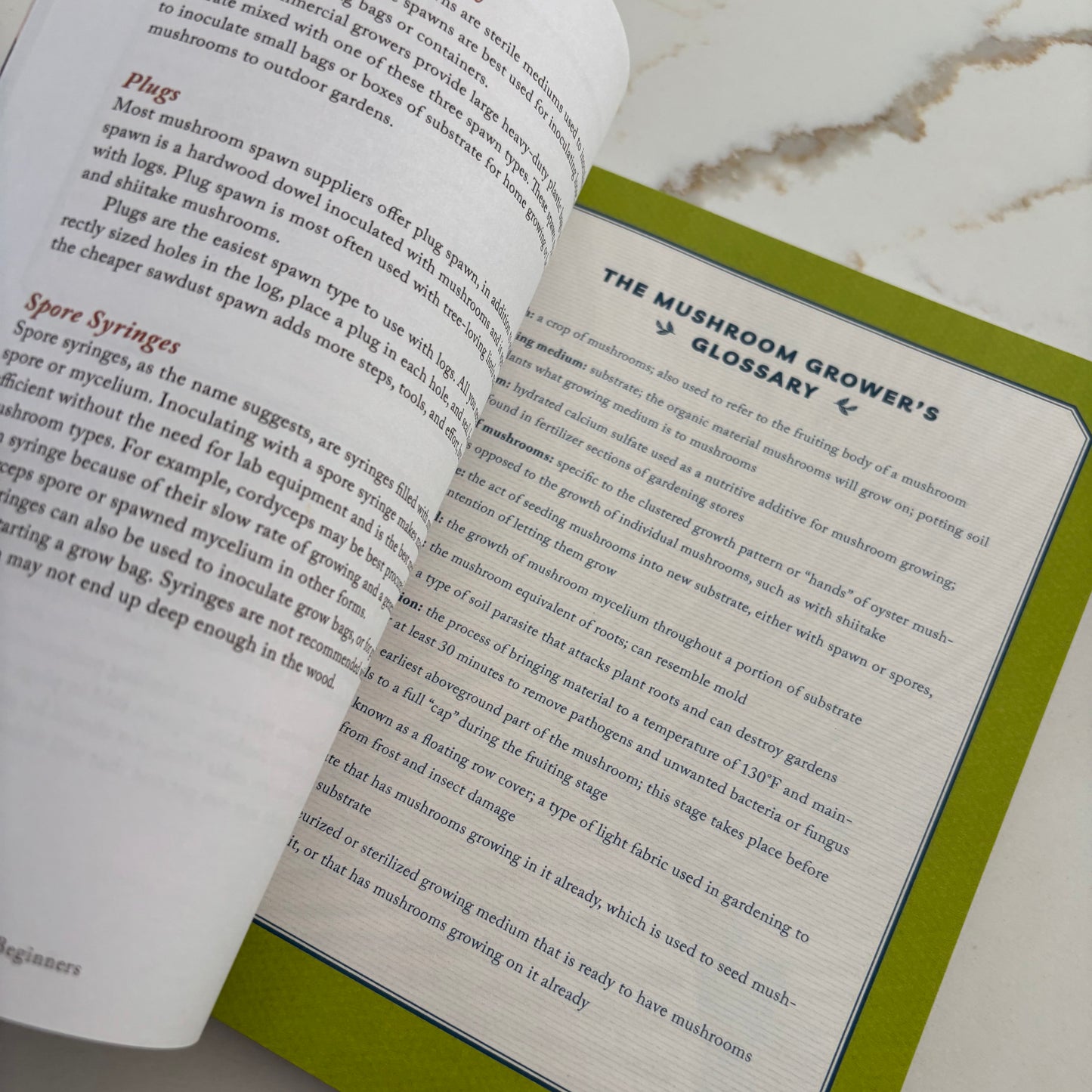 Growing Mushrooms for Beginners - A simple guide to cultivating mushrooms at home -Book by Sarah Dalziel-Kirchhevel - The Hippie Farmer