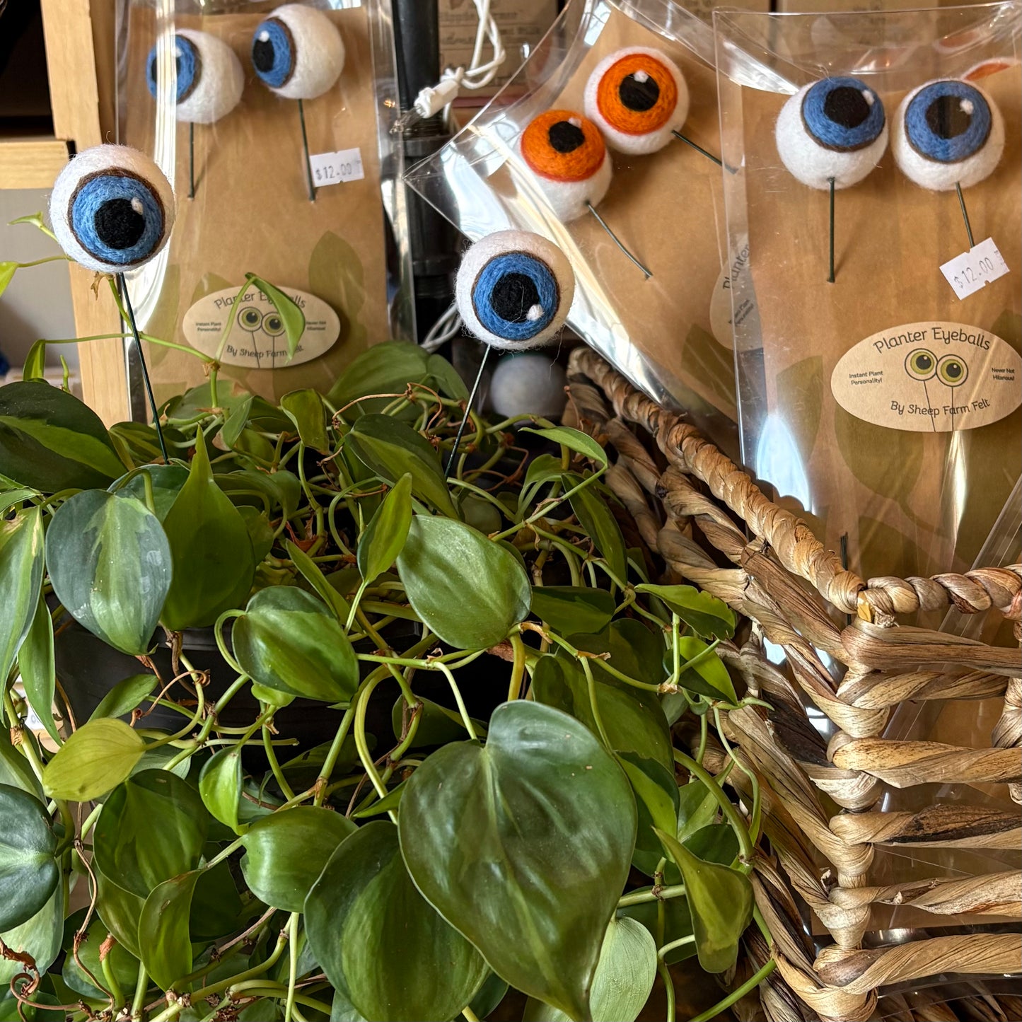 Planter Eyeballs - Made with Wool - by Sheep Farm Felt - The Hippie Farmer