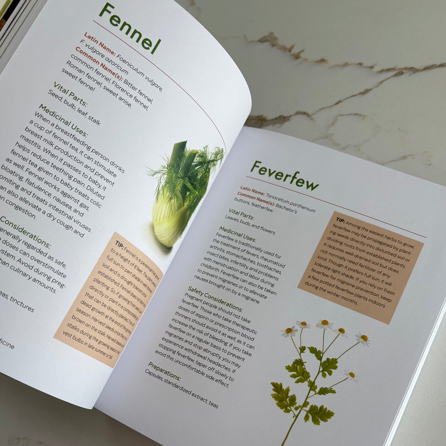 The Big Book of Herbal Medicine - 300 Natural Remedies for Health and Wellness - by Tina Sams - The Hippie Farmer