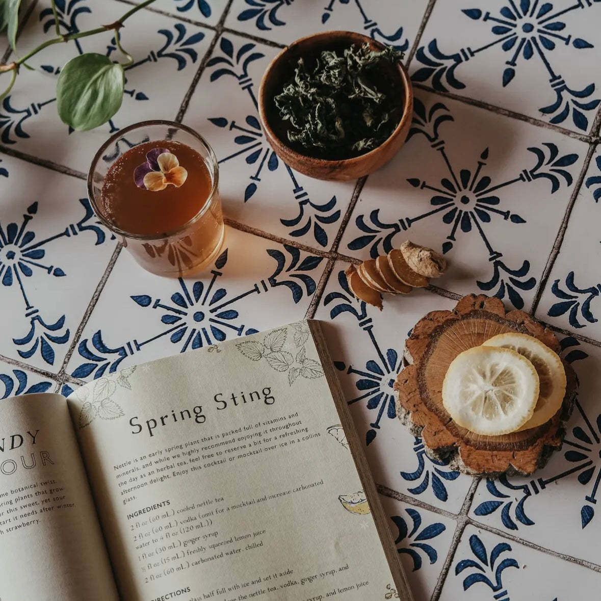 Botanical Mixed Drinks Recipe Book by Herbal Academy - The Hippie Farmer