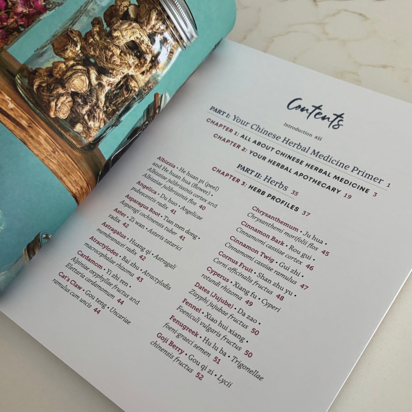 Chinese Herbal Medicine for Beginners - Over 100 Remedies for Wellness and Balance - by Carrie Chauhan
