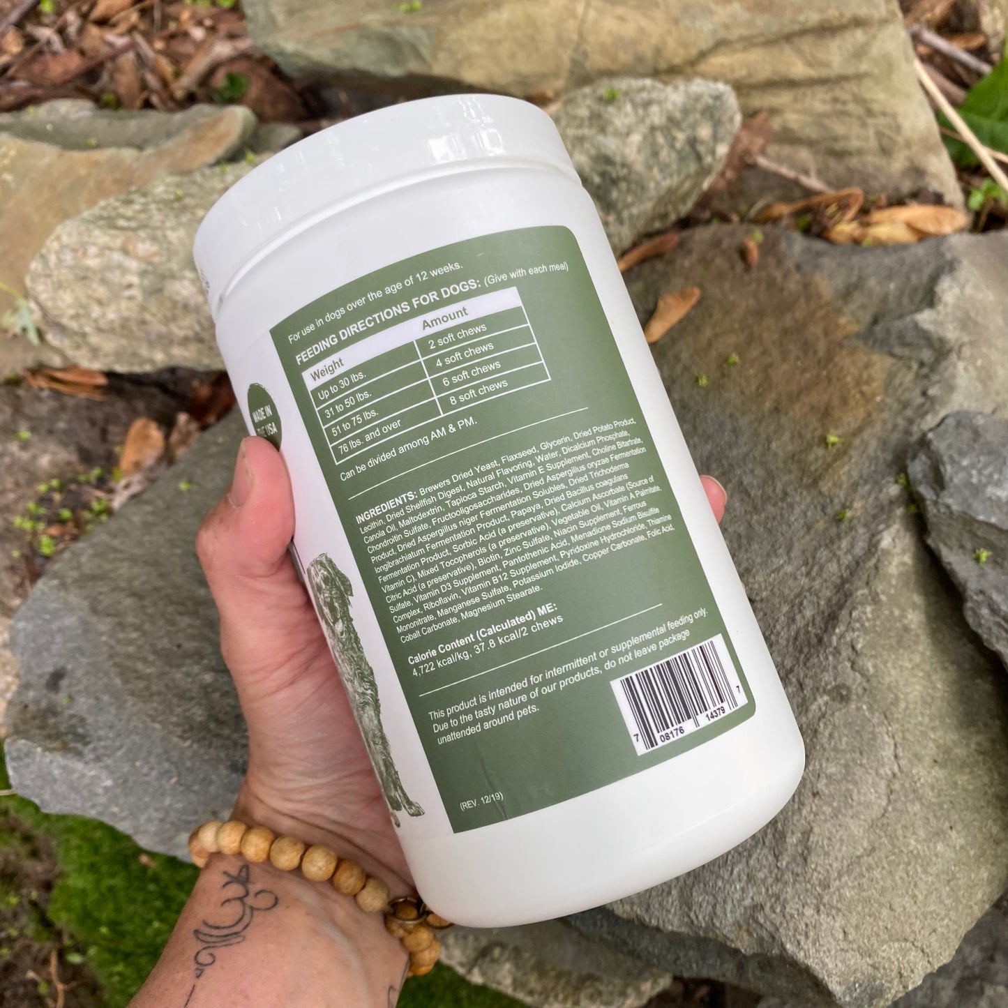 4 in 1 Support - Formulated to Support Your Dog's Daily Essential Needs - by Chew + Heal