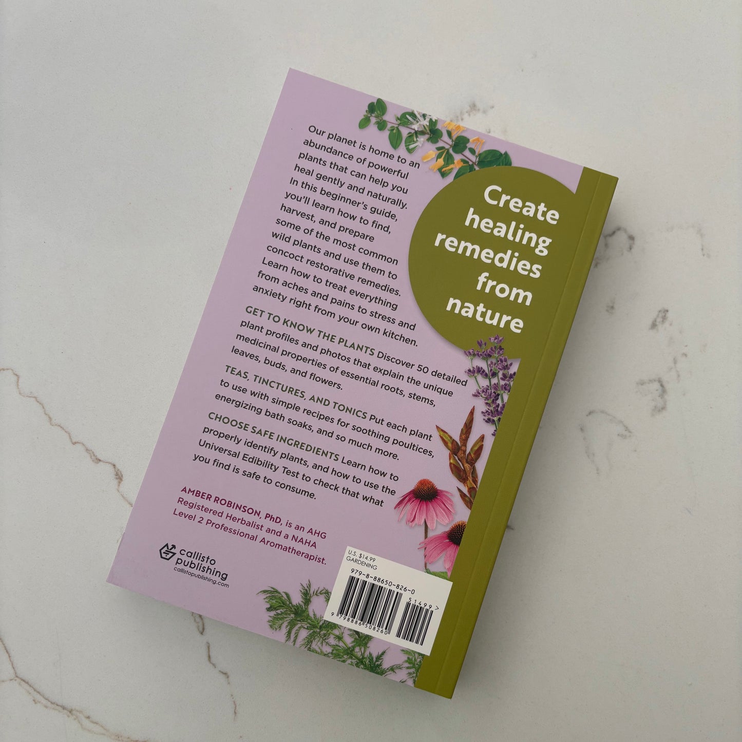 The Beginner’s Guide to Medicinal Plants - 50 Essential Wild Herbs to Identify, Harvest and Use - Book by Amber Robinson, PhD - The Hippie Farmer