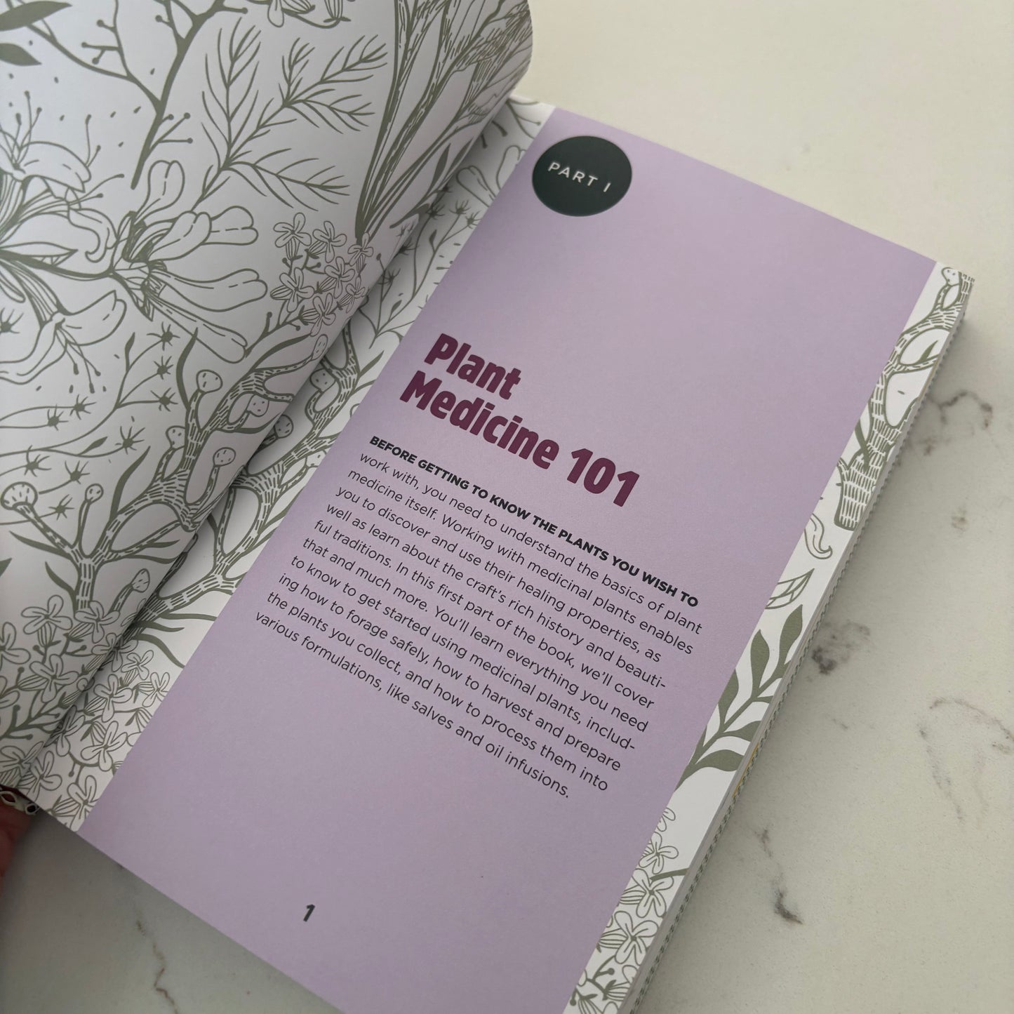 The Beginner’s Guide to Medicinal Plants - 50 Essential Wild Herbs to Identify, Harvest and Use - Book by Amber Robinson, PhD - The Hippie Farmer