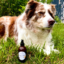 Load image into Gallery viewer, Keep Off - Essential Oil Spray for your Dog - 4oz Glass Spray