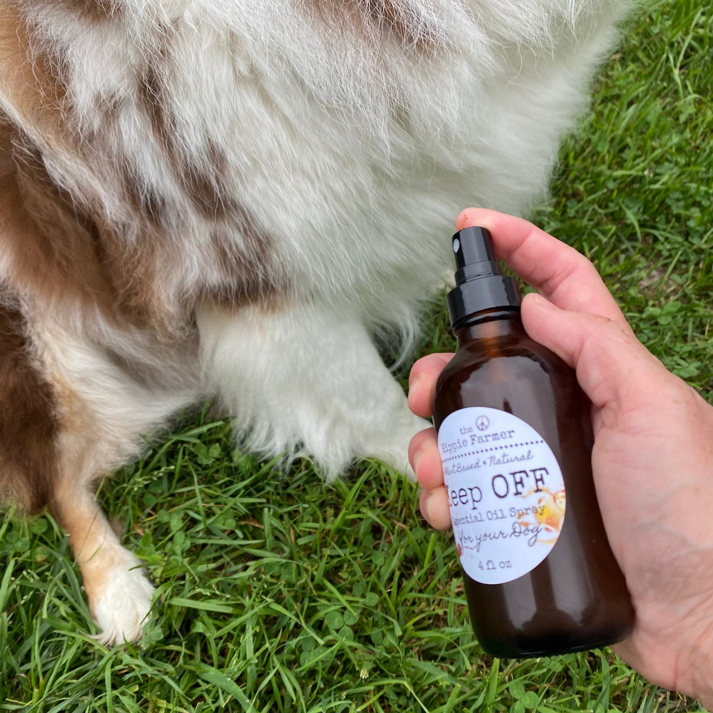 Keep Off - Essential Oil Spray for your Dog - The Hippie Farmer