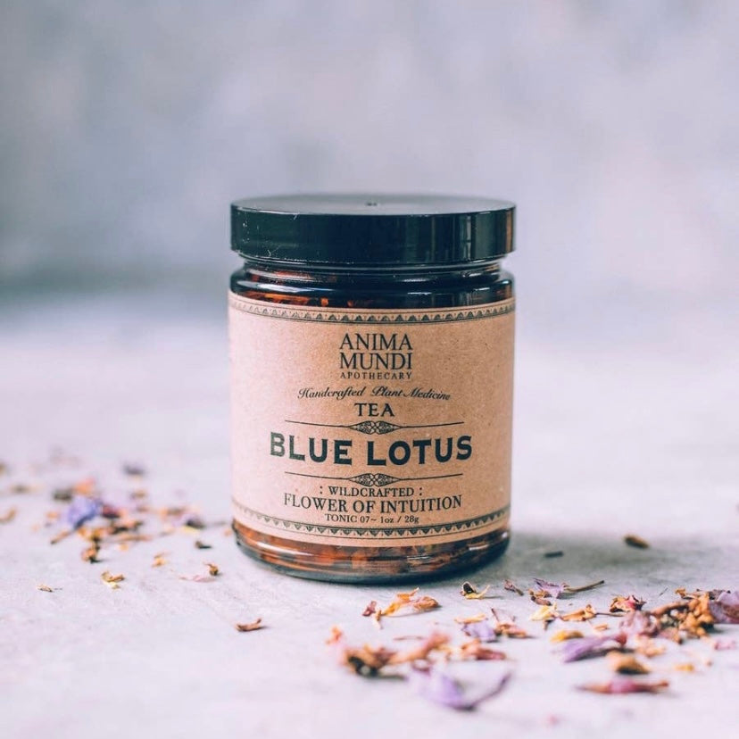 Blue Lotus Tea - Flower of Intuition - Wildcrafted 1oz - by Anima Mundi Apothecary - The Hippie Farmer