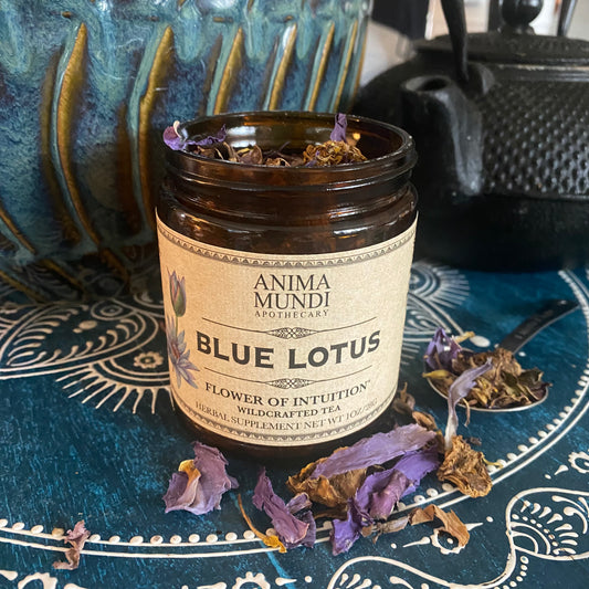 Blue Lotus Tea - Flower of Intuition - Wildcrafted 1oz - by Anima Mundi Apothecary - The Hippie Farmer