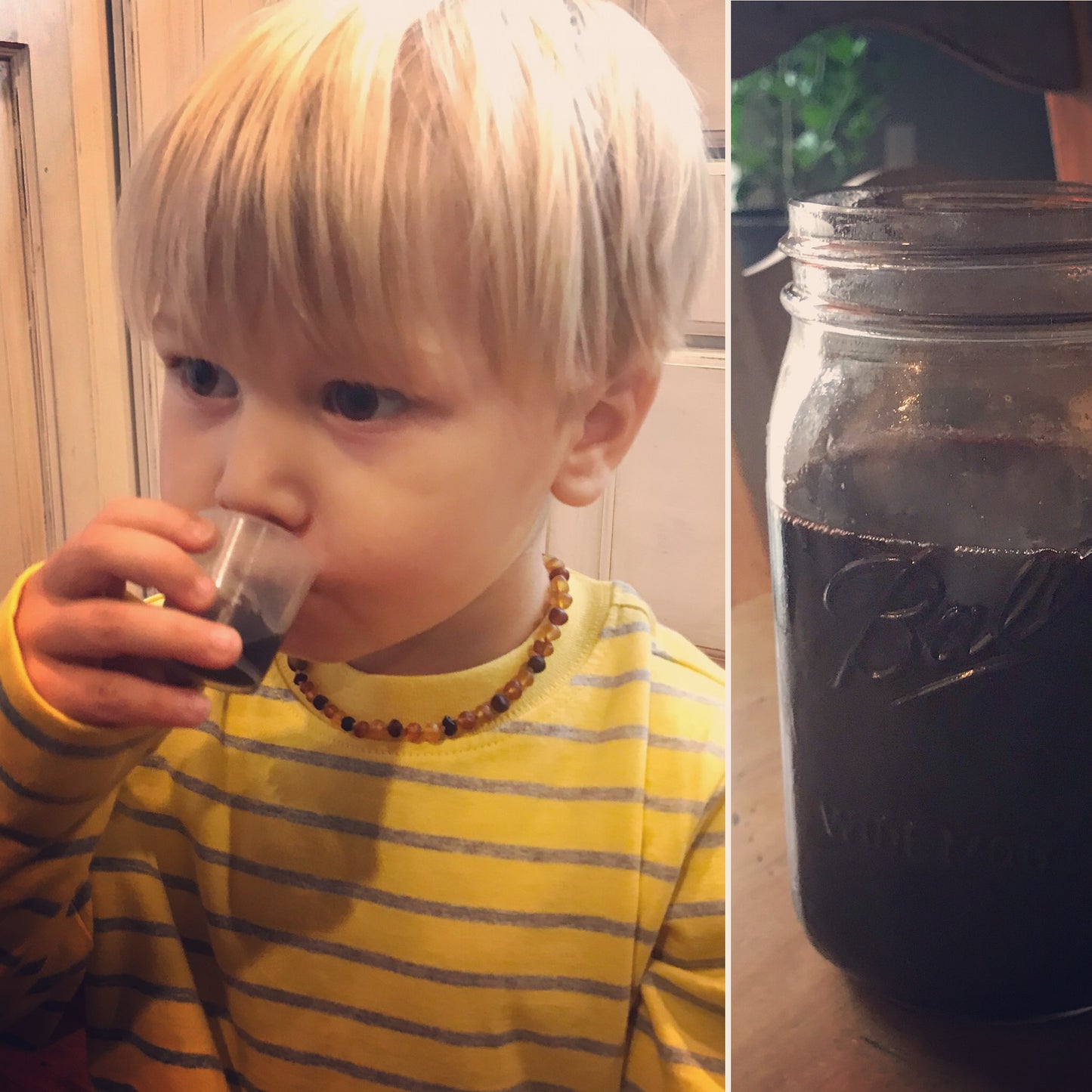 DIY Elderberry Syrup Kit - The Hippie Farmer