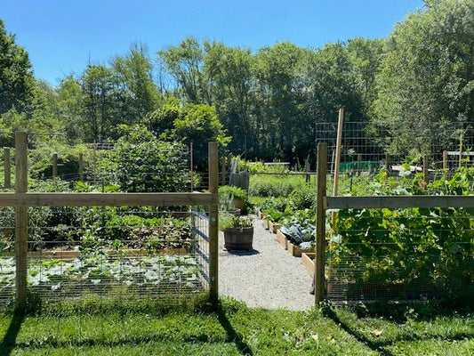 image of garden