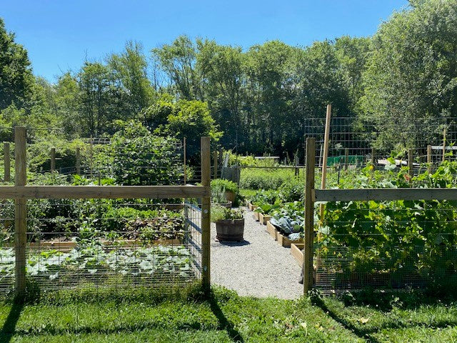 Our 2020 Farm Garden