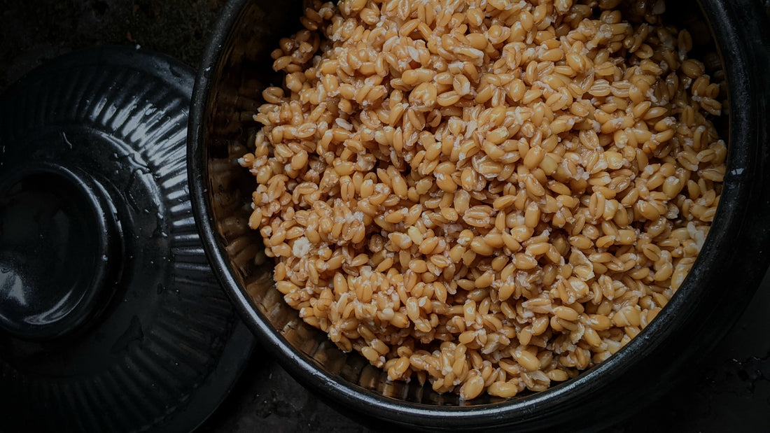 basic groat or whole grain wheat berry preparation image