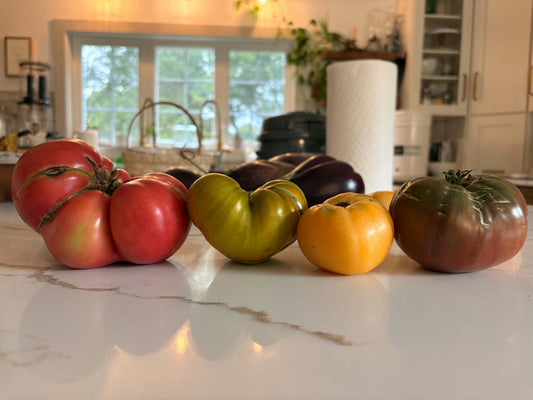 Could Your Homestead Keep Going If the Power Stayed Out? 🧑‍🌾🐄