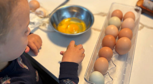 Three Meals a Day (and Not a Store-Bought Chicken in Sight)