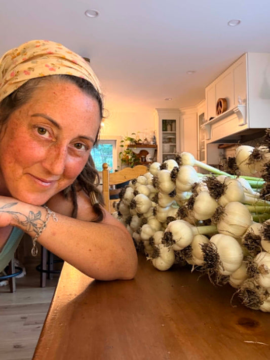 🧄Garlic Harvest Season: How to Know When Garlic is Ready to Pick