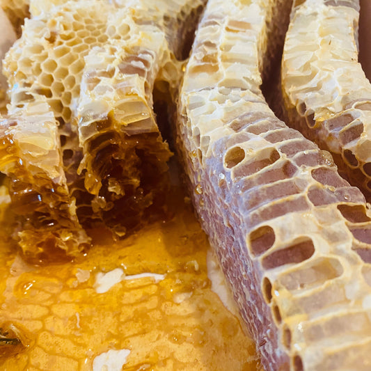 Fermented Honey - The Perfect Spring Project