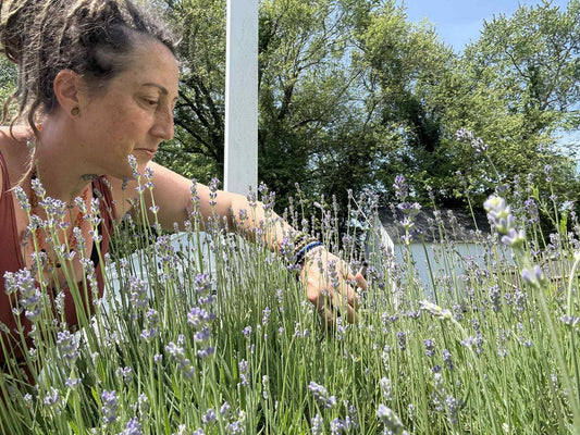 🪻 The Magic of Lavender: Harvesting Calm & Crafting With Purpose