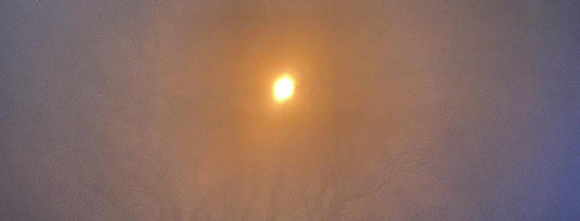 🌕 Full Moon Parasite Cleanse 🌕