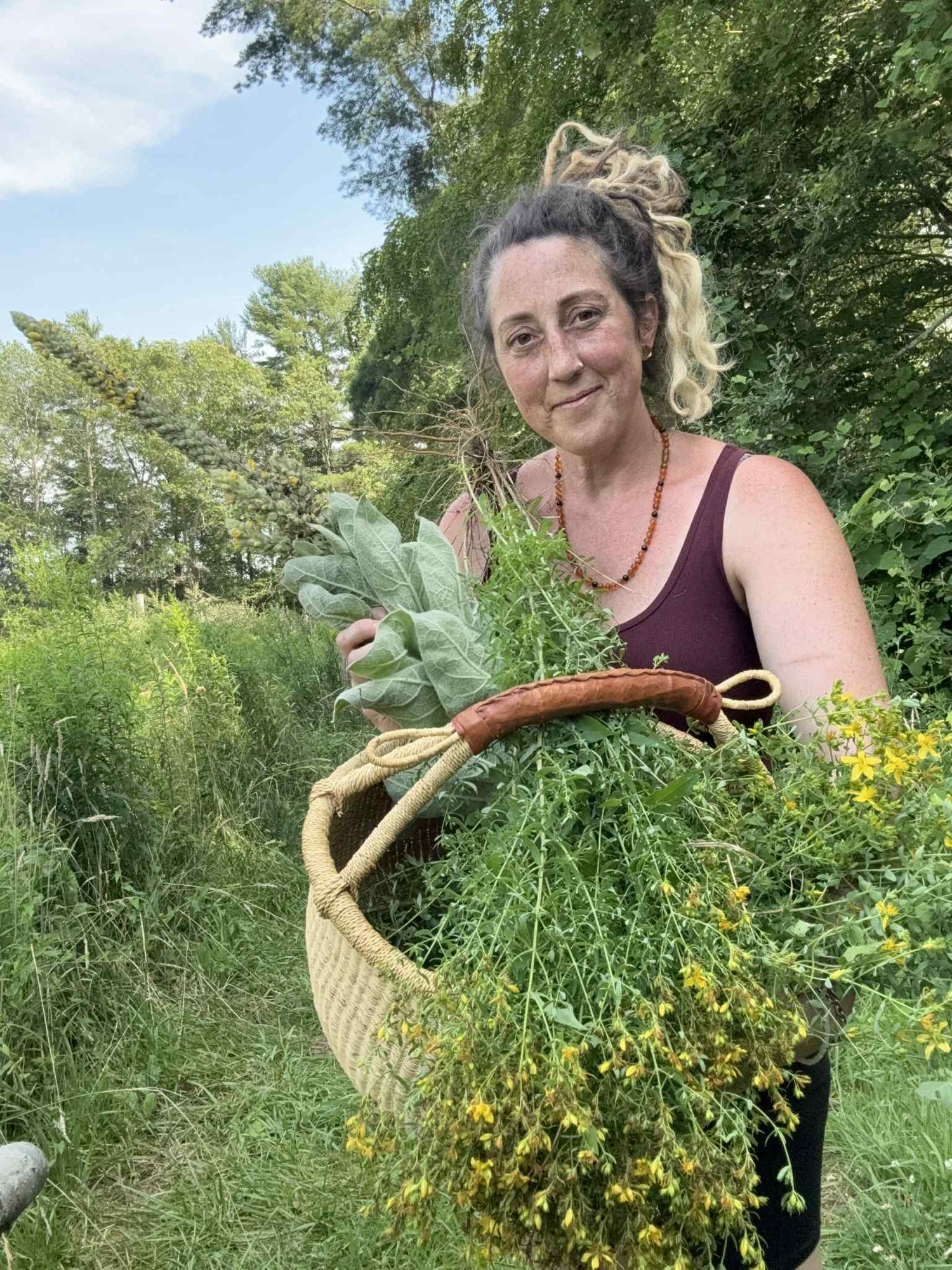 Phthalate Free Fragrance Oils