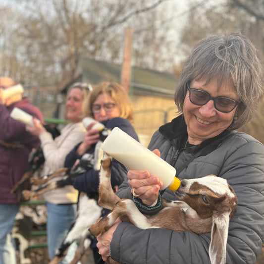 Farm Tour - Goat Education, Goat Cuddling & Milk a goat - 1.5 hr - The Hippie Farmer