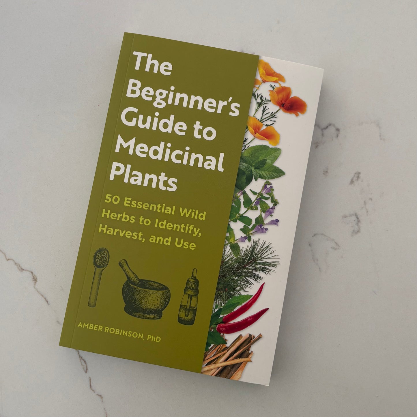 The Beginner’s Guide to Medicinal Plants - 50 Essential Wild Herbs to Identify, Harvest and Use - Book by Amber Robinson, PhD