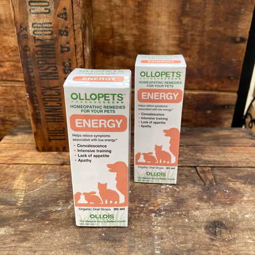 ENERGY - Homeopathic Remedies for your Pets - by Ollopets