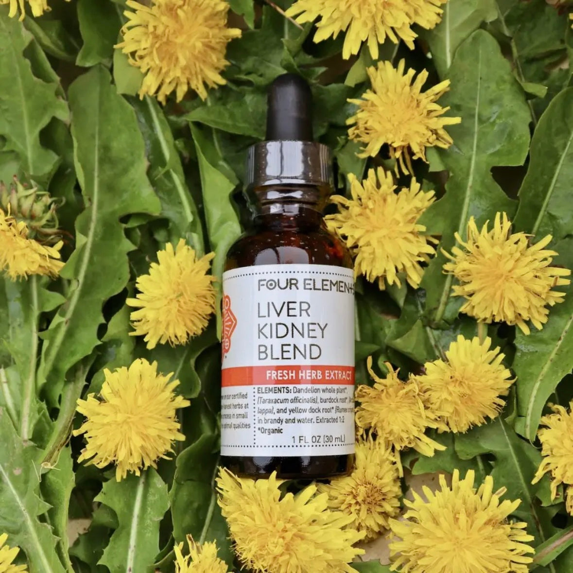 Liver Kidney Blend, Boneset, Androgaphis or Echinacea Herbal Extracts - 1fl oz by Four Elements