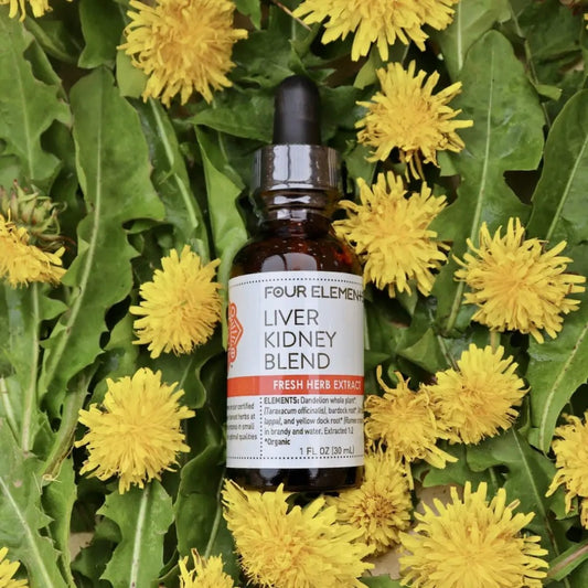 Liver Kidney Blend, Boneset, Androgaphis or Echinacea Herbal Extracts - 1fl oz by Four Elements