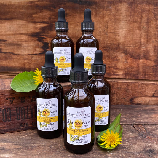 Dandelion Tincture - 2oz (60ml) - LIMITED SEASONAL BATCH - The Hippie Farmer