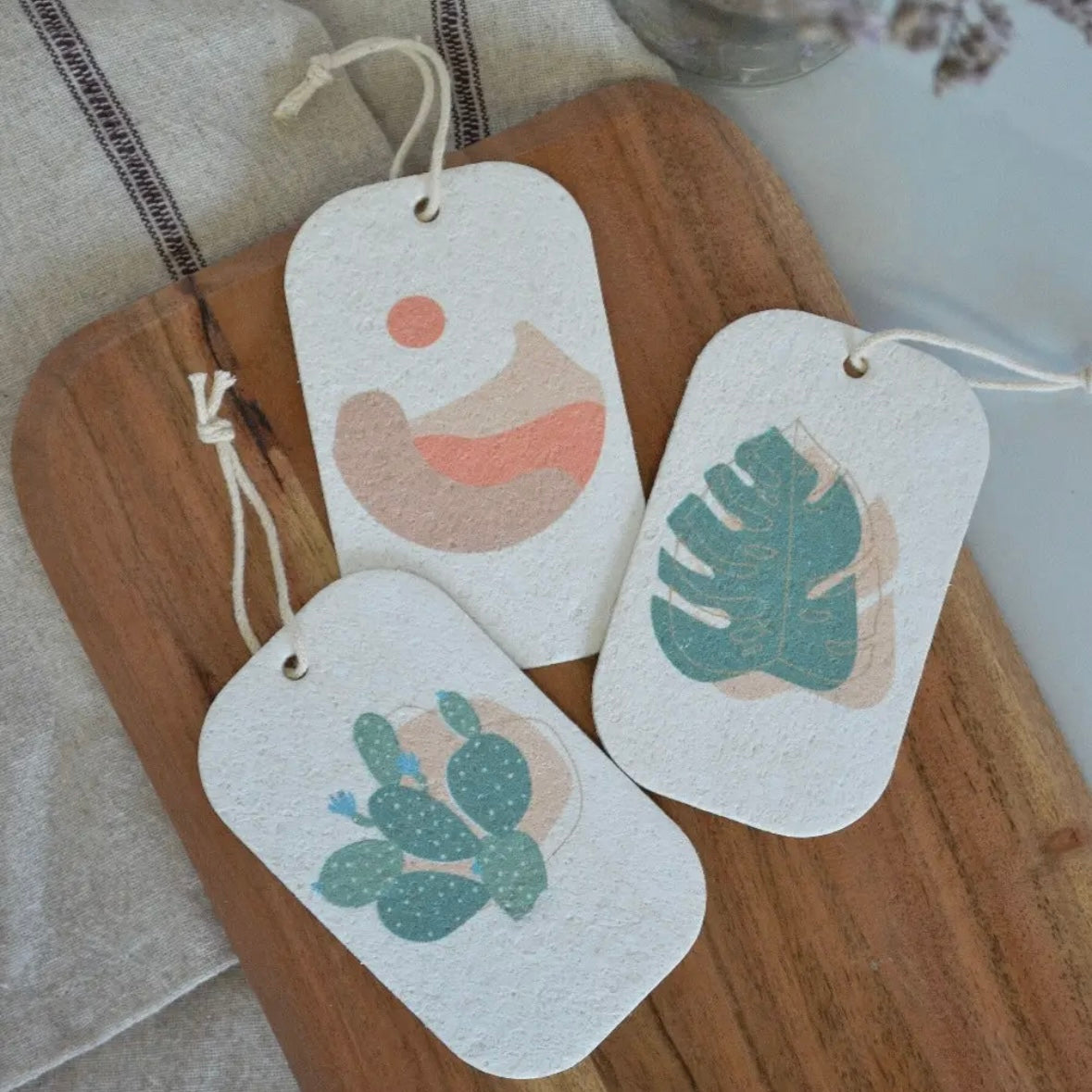 Pop-Up Dish Sponges 3 pack - Desert Theme by Mother Earth ME