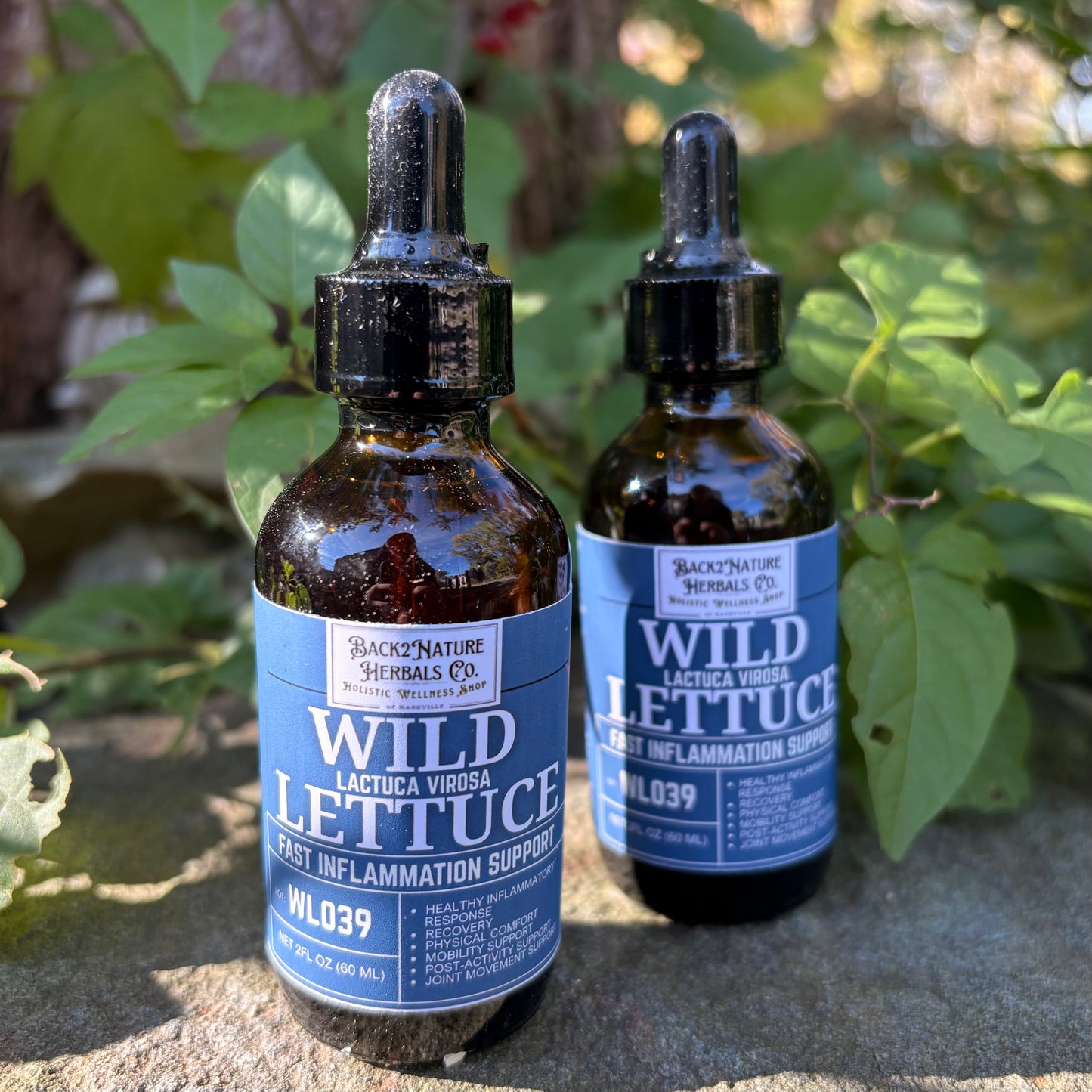 Back2Nature Wild Lettuce Tincture | 2 fl oz