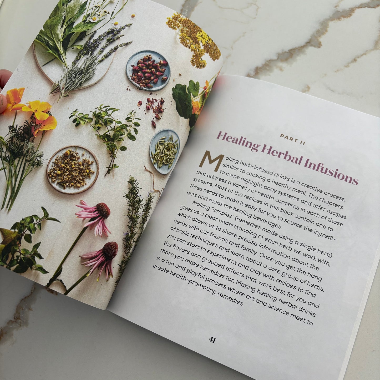 Drinkable Healing Herbal Infusions - 100 Beverages to SOOTHE Your Ailments and BOOST Your Immunity - Book by Brighid Doherty