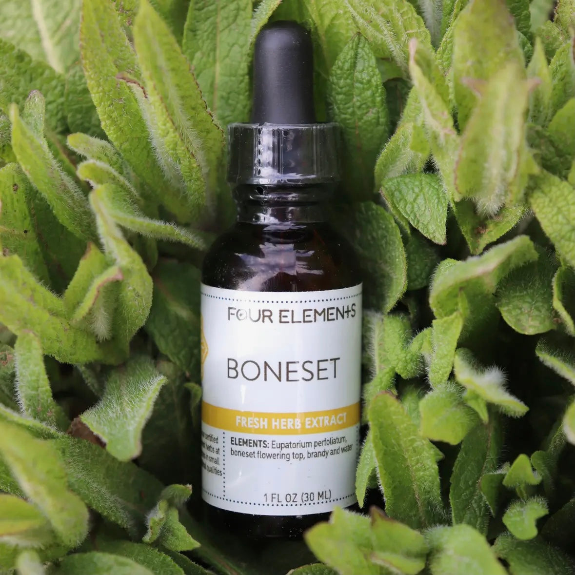 Liver Kidney Blend, Boneset, Androgaphis or Echinacea Herbal Extracts - 1fl oz by Four Elements